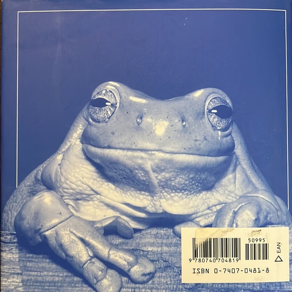 The Blue Day Book: A Lesson In Cheering Yourself Up - Picture 2 of 8